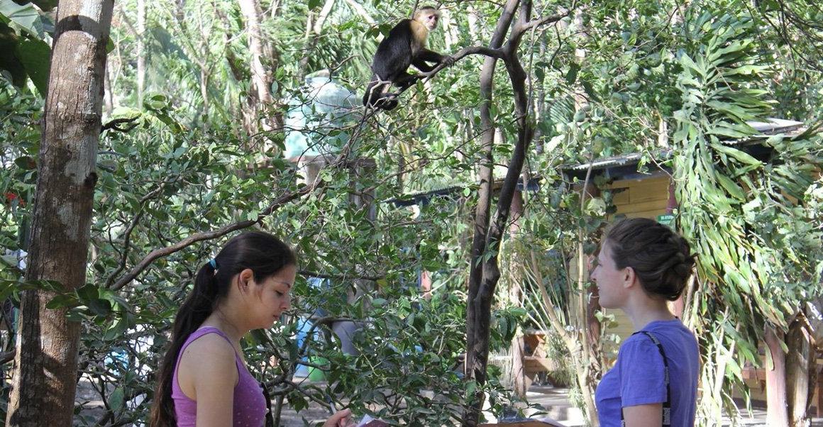 RIC students in field for environmental studies